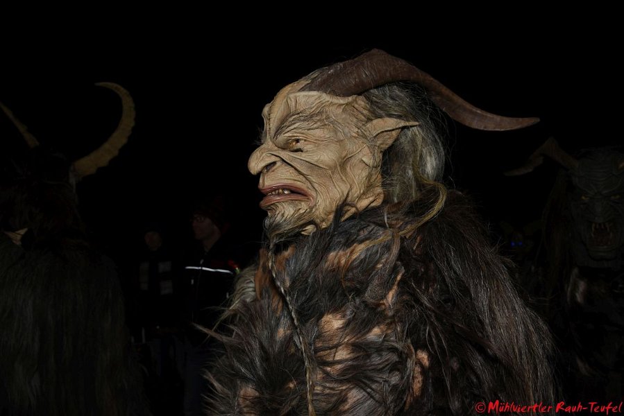 Pesenbach_29.11 (25)